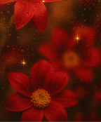 Custom Order Inquiry